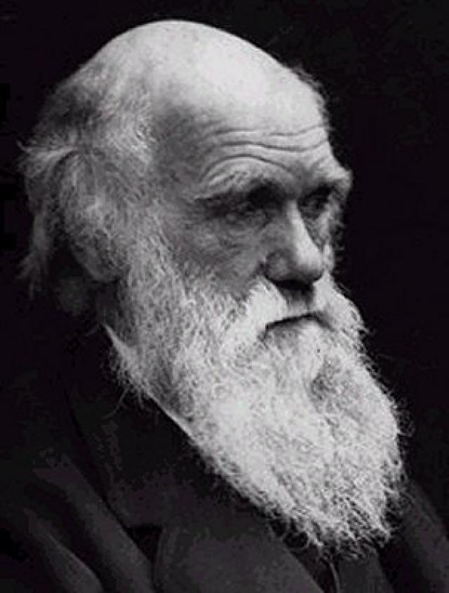 
      تکامل و جعبه ی سیاه داروین از داروینیسمی تا ضد داروینیسمی