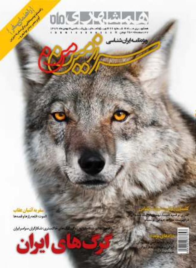 
      «سرزمین‌من» شماره 17: دویدن با گرگ‌های خاکستری ایران