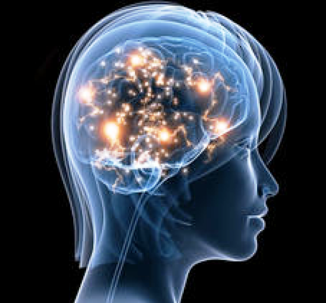 
      فشار روانی مزمن و آسیب به اتصالات و ساختار مغز