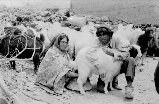 
      جنگ جهانی اول و اثرات آن در قحطی ایران بنا بر روزنامه رعد