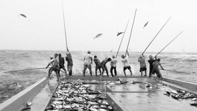 
      انسان‌شناسی ساحلی: فن و مهارت ماهی‌گیری (بخش نخست)