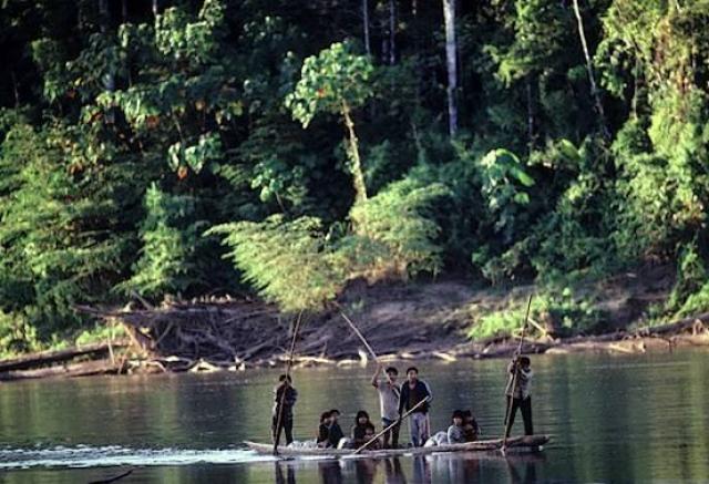 
      مسائل محیط زیستی (1): جنگل های بارانی