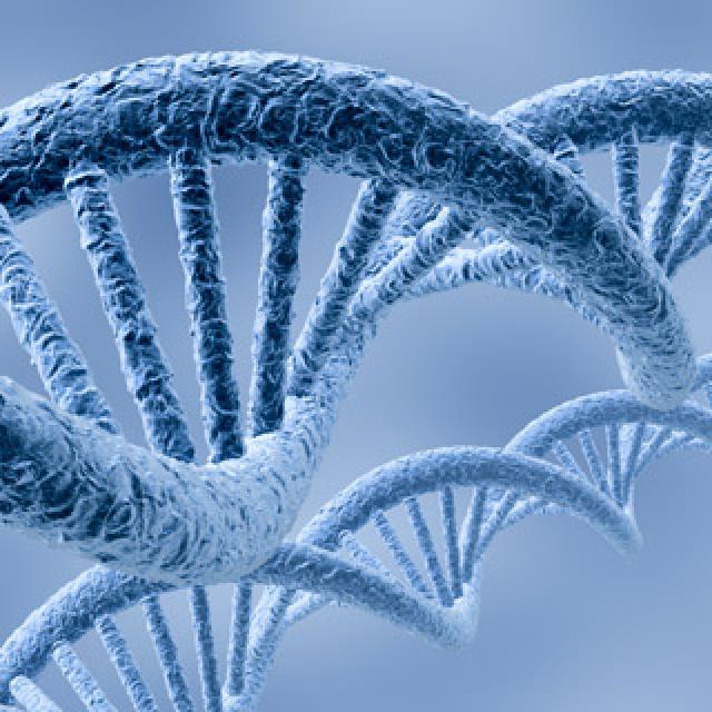 
      نگاهی به برخی مسائل اخلاقی و اجتماعی پروژه های ژنوم و تنوع ژنوم انسان