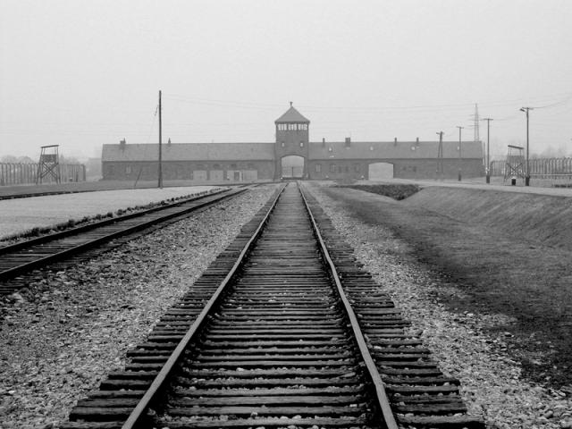 
      پیشگفتاری بر «فهم نسل‌کشی نازی»