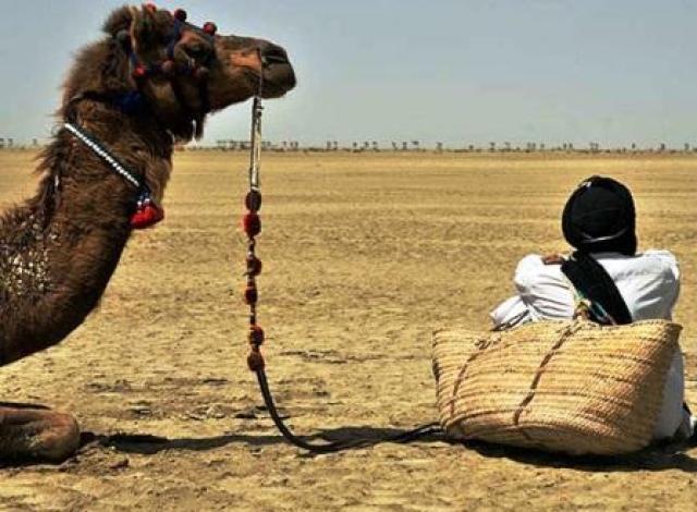 
      «آسکو» و نگاه انسان شناسانه فلیمساز به فرهنگ بکر بلوچستان