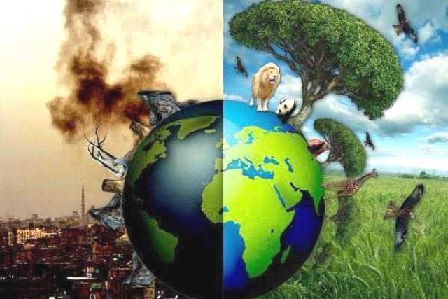 
      محیط زیست و تخریب روزافزون طبیعت