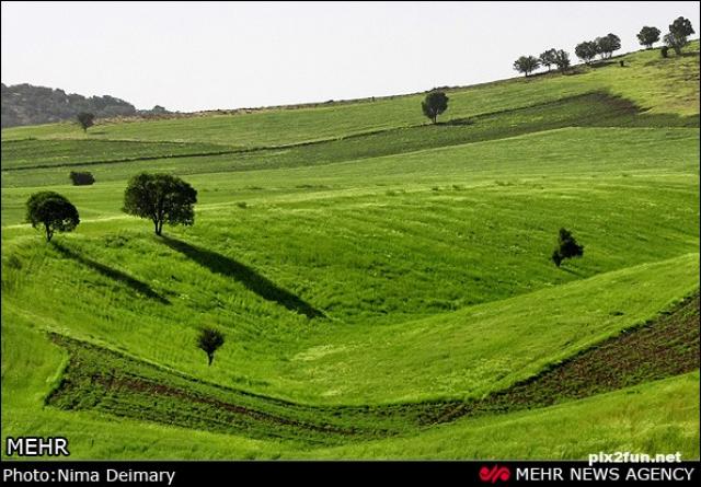 
      دو سفرنامه درباره لرستان ، رساله لرستان و لرها