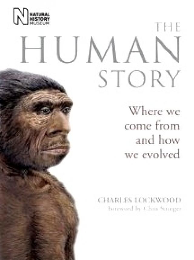 
      تاریخ انسان، ما از کجا آمدیم و چگونه تکامل پیدا کردیم؟