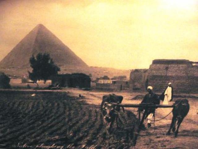 
      کارت پستال های صد ساله (12): مرد بومی در حال شخم زدن زمین، مصر