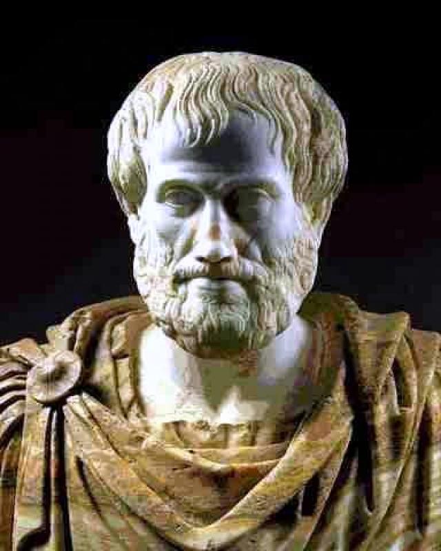 
      نظریه به زبان ساده، (فلسفه)(5): ارسطو