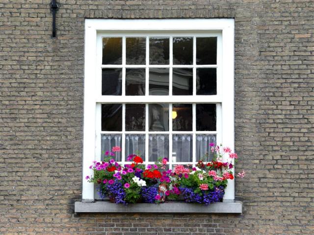 
      پنجره‌های هلندی؛ پاکدامنی زنانه و هرزگی زنانه (1)
