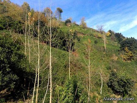 لیلا کوه منطقه ای دیدنی در شمال ایران + تصاویر