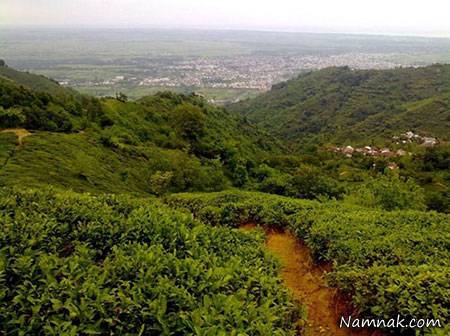 لیلا کوه منطقه ای دیدنی در شمال ایران + تصاویر