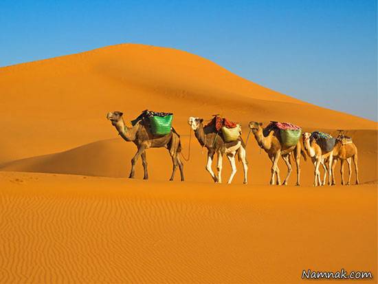 جاذبه های بی نظیر زیباترین صحراهای دنیا + تصاویر