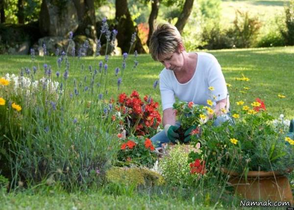 نکاتی برای باغبانی در فصل بهار