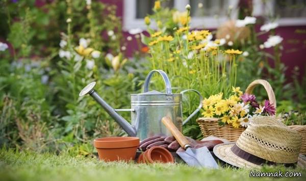 نکاتی برای باغبانی در فصل بهار