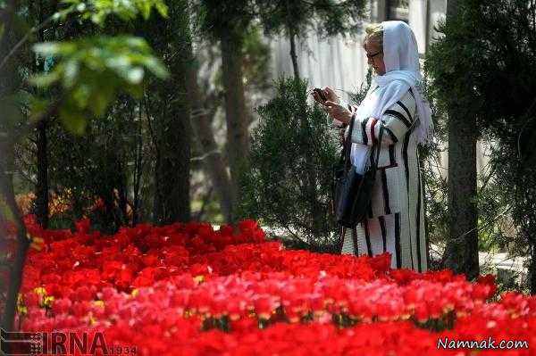 کاشت 30 هزار گل لاله به یاد مادر در تهران + تصاویر