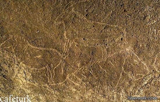 کشف نقاشی های 14 هزار ساله از حیوانات + تصاویر