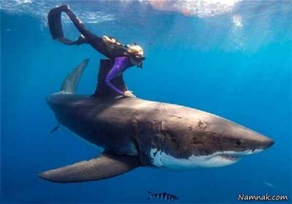 شنای زن آمریکایی در آب باکوسه ی قاتل + عکس