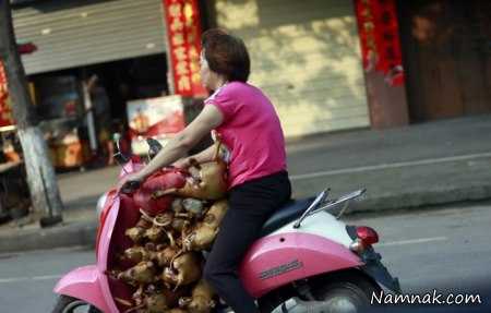 جشنواره خوردن گوشت سگ و گربه در چین + تصاویر 14+