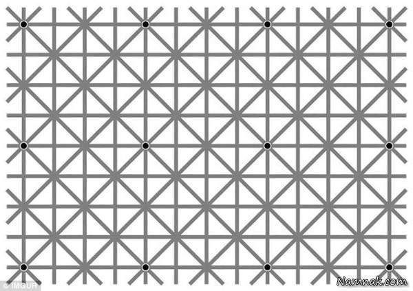 معمای گیج کننده با تعداد نقاط سیاه + عکس