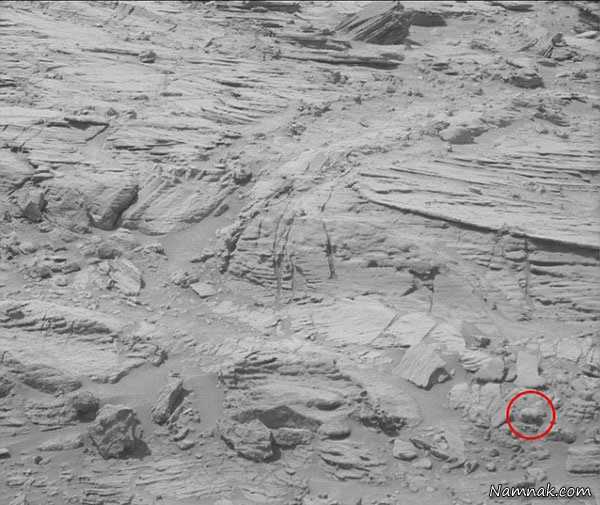 جزئیات جدید از پیدا شدن خرس در مریخ + تصاویر