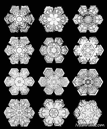 اولین کسی که شکل دانه های برف را دید! + تصاویر