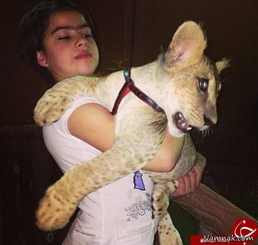 وحشی ترین حیوانات دنیا همبازی دختربچه سعودی! + تصاویر