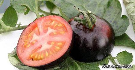 تولید گوجه فرنگی سیاه + تصاویر