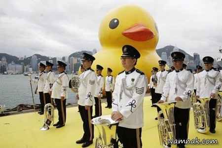 بزرگترین اردک دنیا + عکس