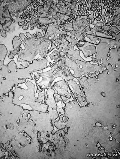 اشک های انسان زیر میکروسکوپ + تصاویر