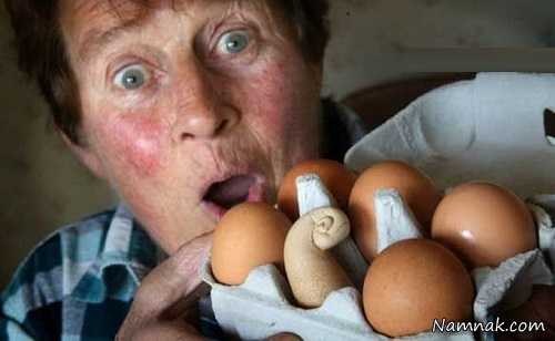 تخم مرغ حلزونی عجیب و غریب! + تصاویر