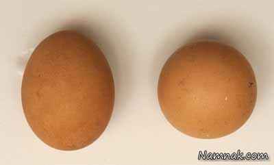 تخم مرغ 2 و نیم میلیون تومانی! + تصاویر