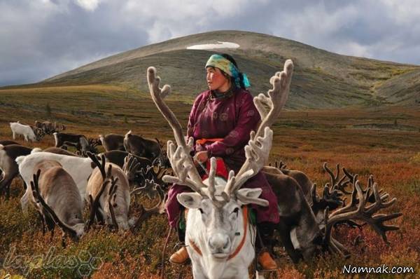 عکسهایی از کشور مغولستان