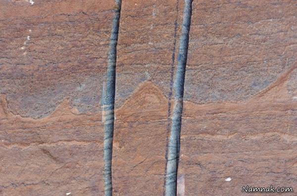 قدیمی ترین فسیل جهان با قدمت سه میلیارد سال + عکس