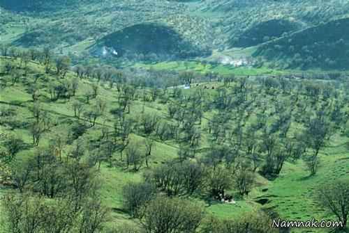 زیباترین و بزرگترین پارک های جنگلی ایران + تصاویر