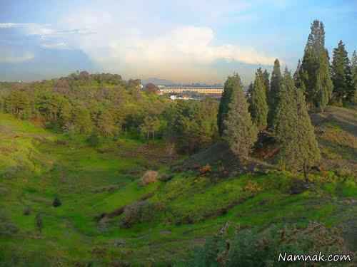 زیباترین و بزرگترین پارک های جنگلی ایران + تصاویر