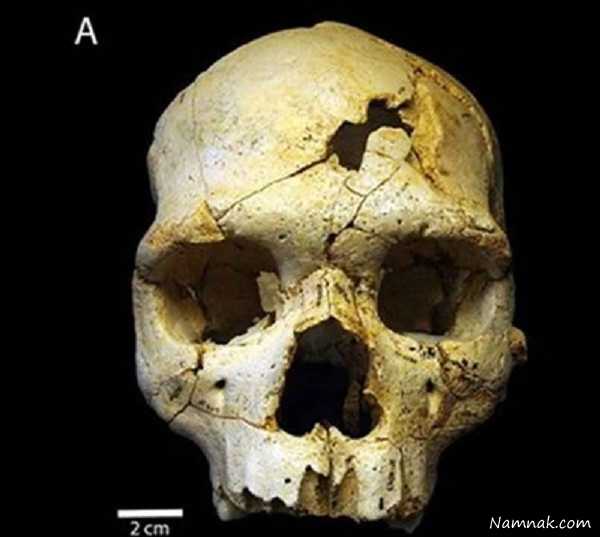 جمجمه هابیل فرزند حضرت آدم (ع) کشف شد + تصاویر