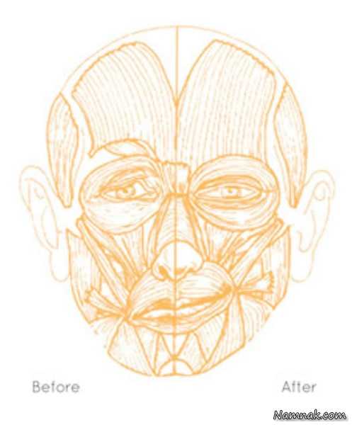 آموزش ماساژ صورت برای زیبایی و جوانی