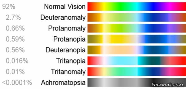 افرادی که کور رنگی دارند اینگونه می بینند!