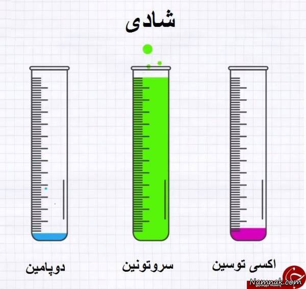 عملکرد هورمون ها در بروز احساسات و تغییر آن ها + عکس