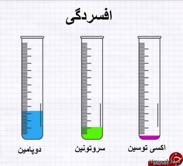 عملکرد هورمون ها در بروز احساسات و تغییر آن ها + عکس