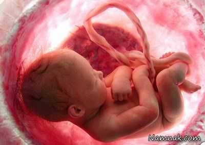 حرکت جنین در شکم مادر و تعداد و زمان آن