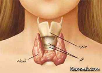 مواد غذایی مفید برای جلوگیری از اختلالات تیروئید