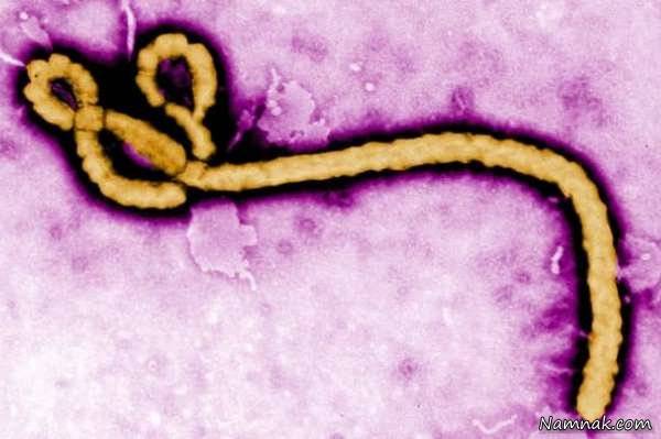 روش جالب تشخیص ویروس ابولا و زیکا با یک سیم!