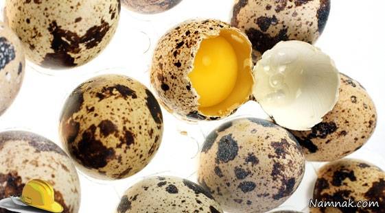 فواید شگفت انگیز تخم بلدرچین برای کودکان