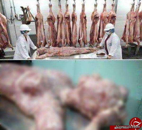 فروش گوشت انسان از شایعه تا واقعیت + تصاویر (18+)