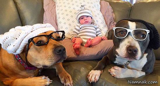 رابطه باور نکردنی حیوانات خانگی با یک نوزاد! + تصاویر