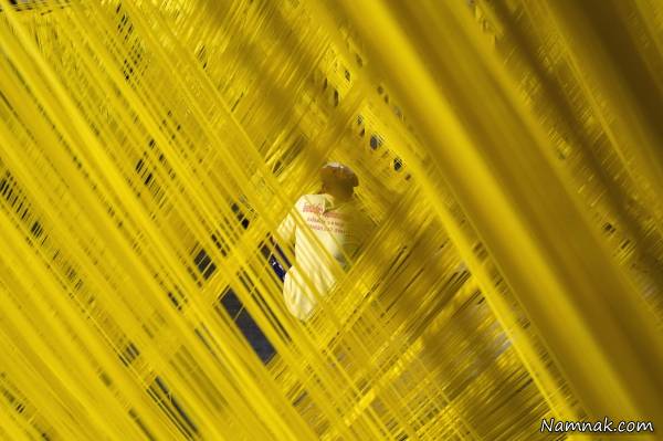تصاویر جالب از کارخانه تولید رشته فرنگی