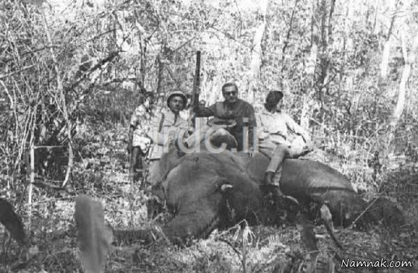 محمدرضا شاه پهلوی و ثریا بعد از شکار فیل!+ عکس